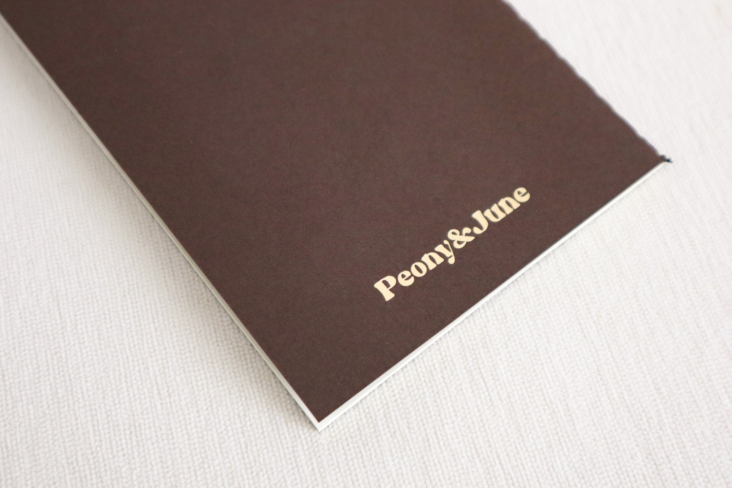 Brown Crown of Thorns Notebook TN size