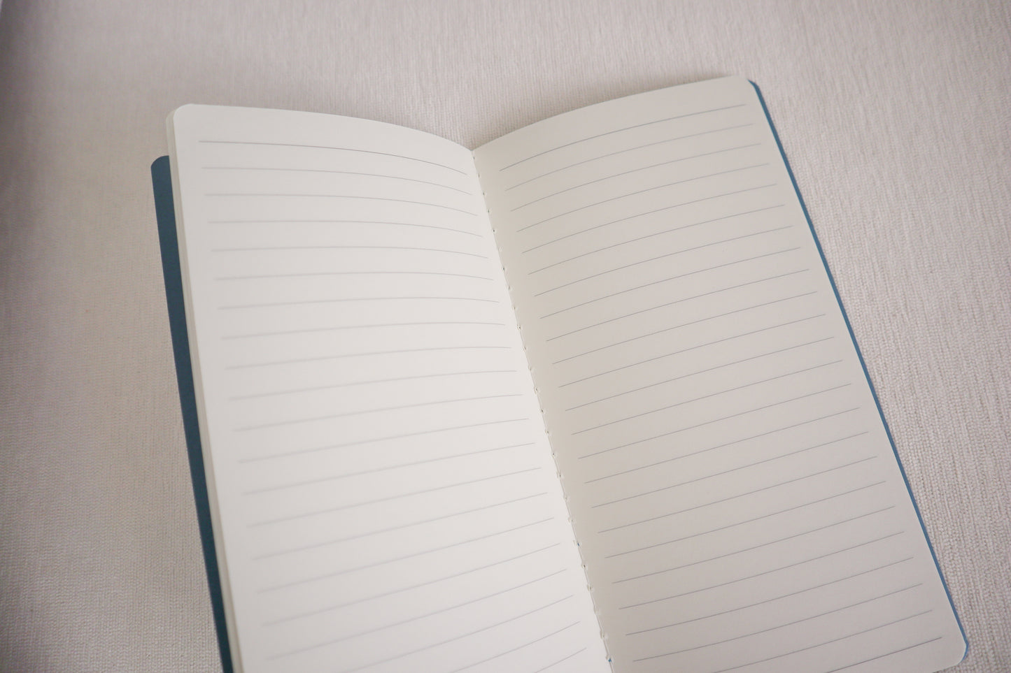 Blue Marian Notebook TN size